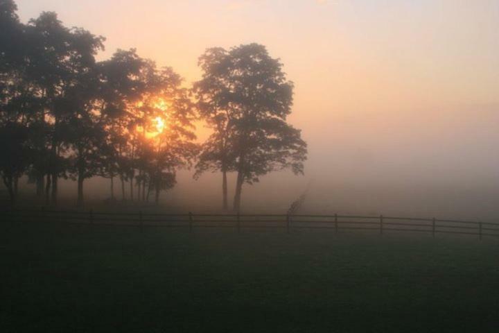 Letchworth Farm Nunda Exterior foto