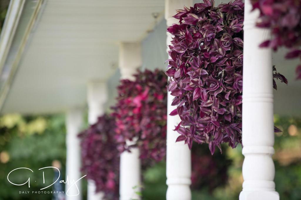 Letchworth Farm Nunda Exterior foto