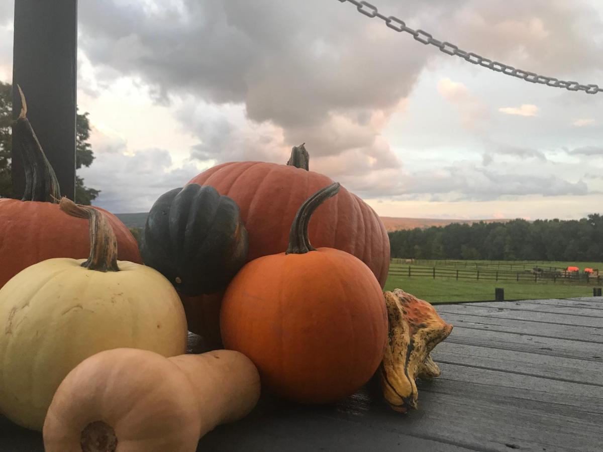 Letchworth Farm Nunda Exterior foto