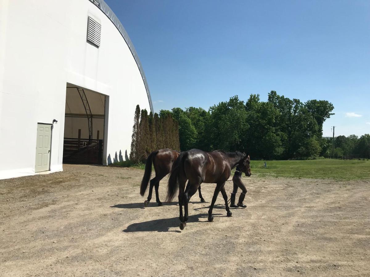 Letchworth Farm Nunda Exterior foto